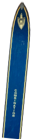 PfaenderSki.jpg